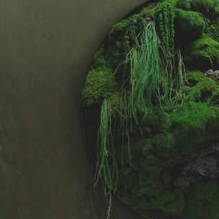 The Quiet Green