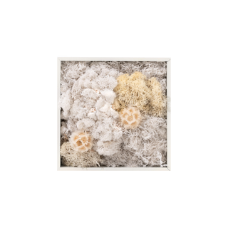Snowy (15cm)