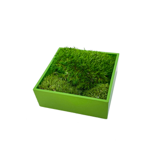 Pure Moss mini