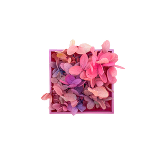 Butterfly mini