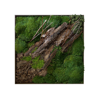 Fallen Tree 60