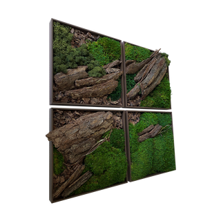 Fallen Tree 30
