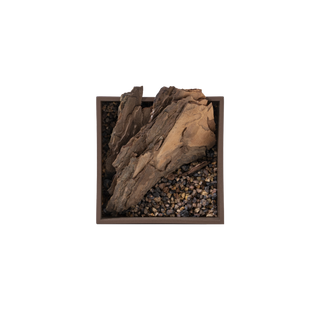 Fallen tree mini
