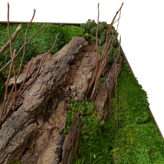 Fallen Tree (60cm)