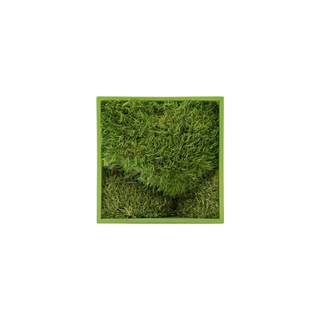 Pure Moss mini