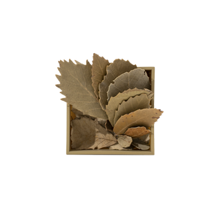 Leafy mini