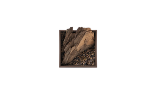 Fallen tree mini