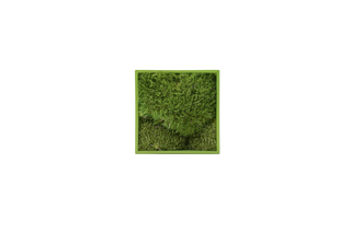 Pure Moss mini