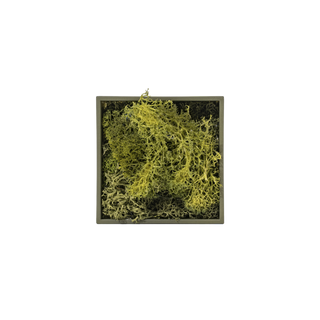 Vibrant green mini