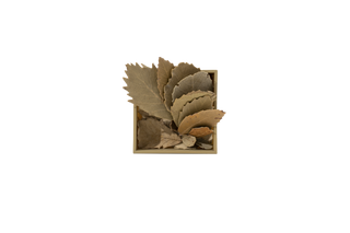 Leafy mini