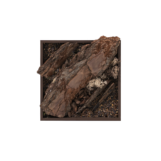 Fallen tree (15cm)