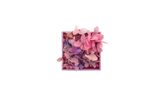 Butterfly mini