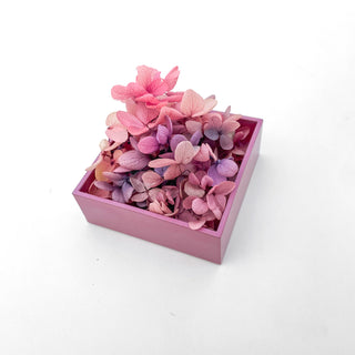 Butterfly mini